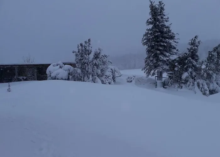 Mit Fichtelberg Und Keilbergblick شقة *